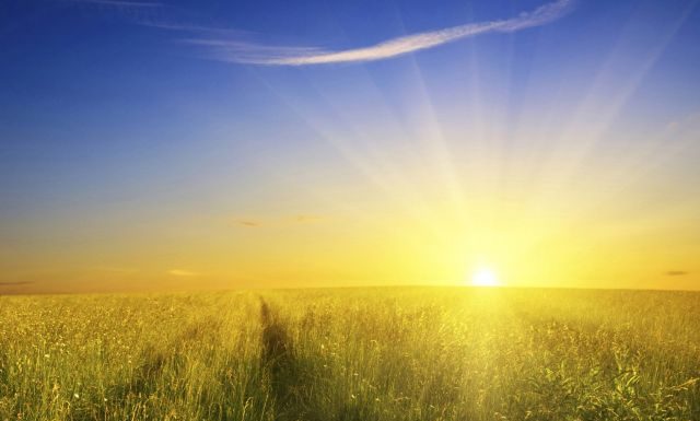 Eckhart Tolle: Ce este si cum se manifesta trezirea spirituala