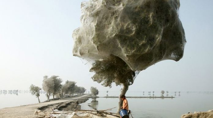 (FOTO) 14 imagini ale unor peisaje naturale uimitoare care par a fi prelucrate in Photoshop
