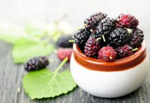 „Cenusaresele” fructelor de padure – Dudele