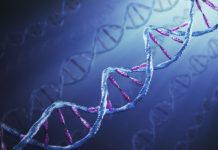 Cercetatorii sustin ca amintirile sunt transmise viitoarelor generatii prin intermediul ADN-ului