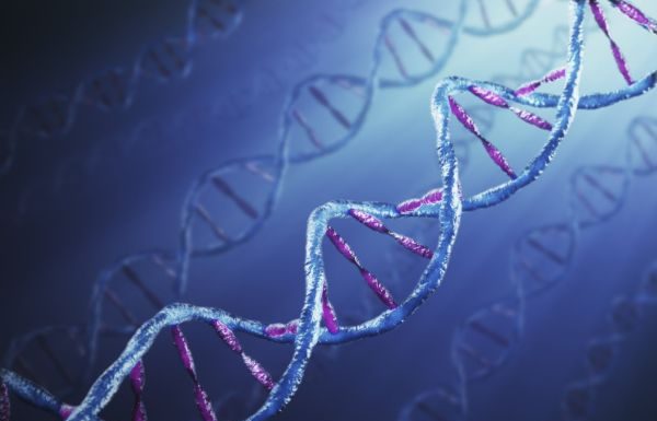 Cercetatorii sustin ca amintirile sunt transmise viitoarelor generatii prin intermediul ADN-ului