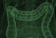 Cele ZECE caractestici ale unui sistem digestiv nesanatos