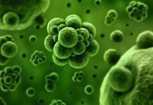 “O lume fara cancer” – Autorul G. Edward Griffin expune motivul pentru care adevaratele remedii impotriva cancerului sunt in continuare ascunse