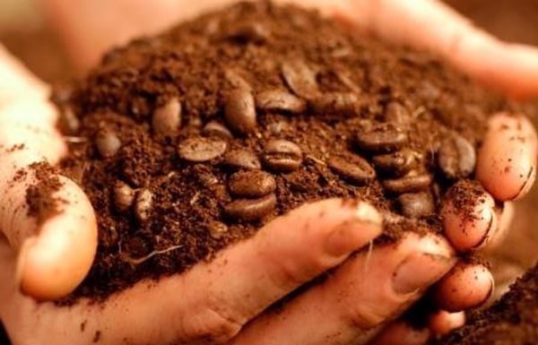 Cele CINCI utilizari uimitoare ale zatului de cafea