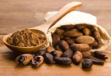 Cacao – „Mancarea Zeilor”, razboinicilor si elitelor sociale