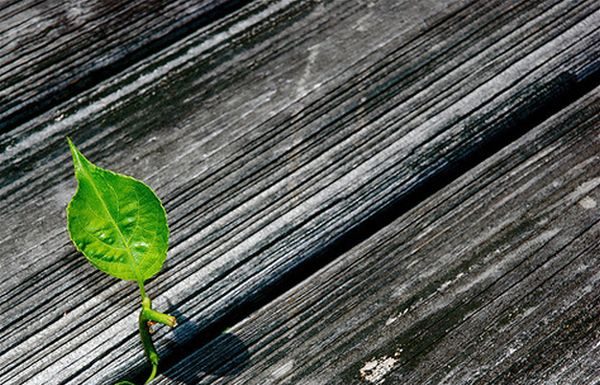 Cele SAPTE convingeri care iti pot transforma in mod profund viata