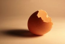 Coaja de ou – cea mai buna sursa naturala de calciu