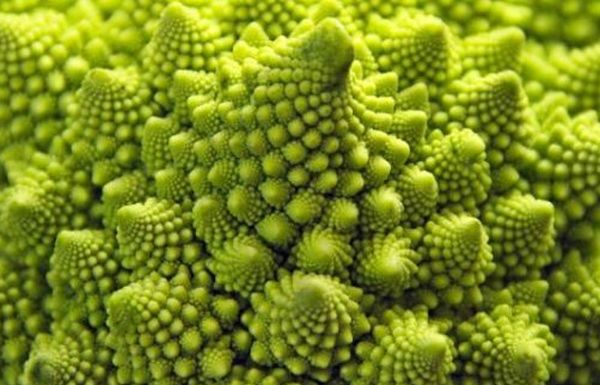 Cele 21 de imagini cu fractali – Natura este uimitoare!