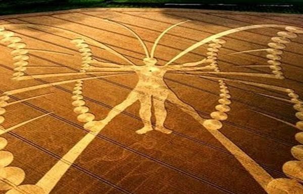 Cele ZECE cercuri din lanuri si misterul din spatele acestora