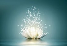 Cele SAPTE carari ale involutiei – un drum parcurs de fiecare dintre noi!