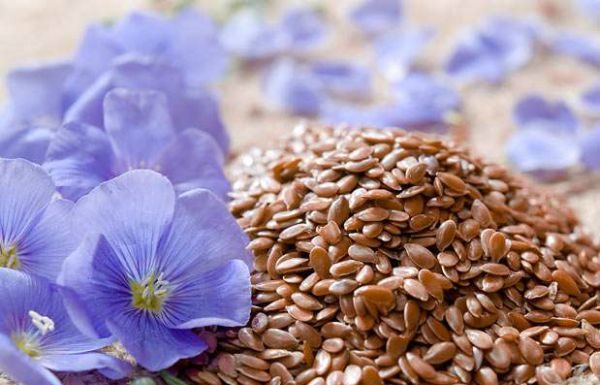 Elixirul secret al tineretii – Sanatate curata intr-o singura lingurita!