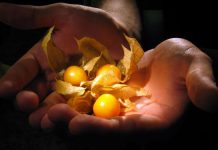 Cele OPT deficiente de substante nutritive esentiale de care suferim majoritatea dintre noi
