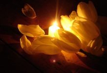 Cele CINCI modalitati prin care iti poti recapata lumina interioara atunci cand suferi de depresie