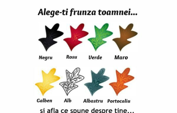 Alege-ti frunza toamnei…