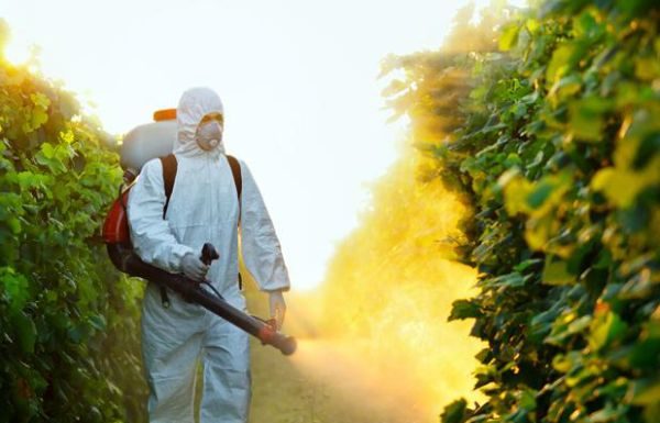 Metoda eficienta de eliminare a pesticidelor din fructe si legume!