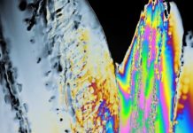 Cristalele de gheta sunt magice atunci cand sunt privite la nivel microscopic!