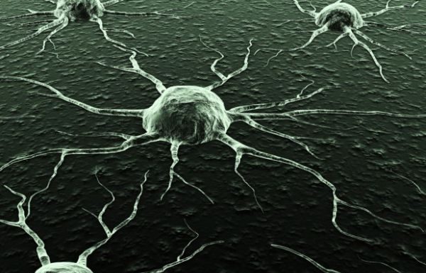 Cancer – Cea mai mare afacere a tuturor timpurilor si motivul pentru care afaceristii nu doresc existenta unui tratament!
