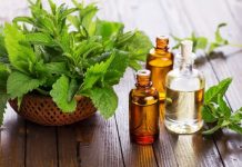 Cele 20 de neasteptate utilizari ale uleiului esential de menta