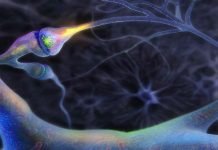 Scanarile cerebrale arata impactul real pe care iubirea il are asupra creierului celor mici