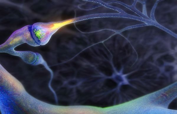 Scanarile cerebrale arata impactul real pe care iubirea il are asupra creierului celor mici