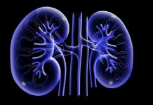 Importanta detoxifierii rinichilor