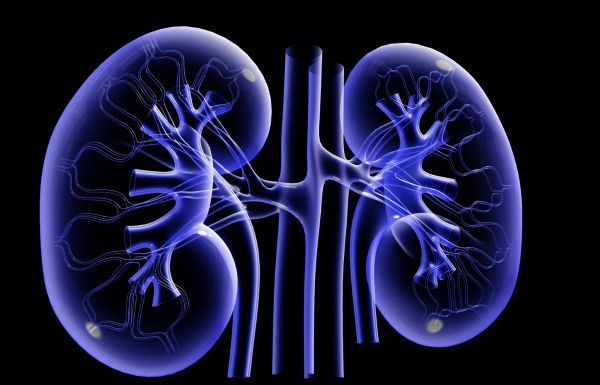 Importanta detoxifierii rinichilor