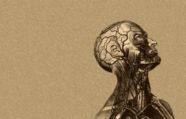 Legatura dintre emotii si sanatatea organismului tau! Cum deblochezi traumele emotionale?!