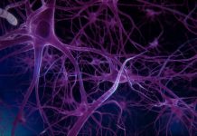 Cele OPT caracteristici ale unui deficit de serotonina
