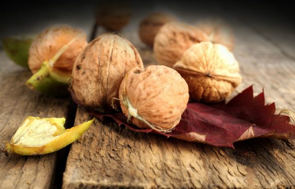 Un leac din medicina populara care iti poate curata sangele si regenera intregul organism