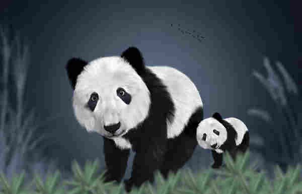 Afla cat de buna iti e vederea! 90% dintre cei care incearca nu pot gasi ursul panda ascuns in imagini!