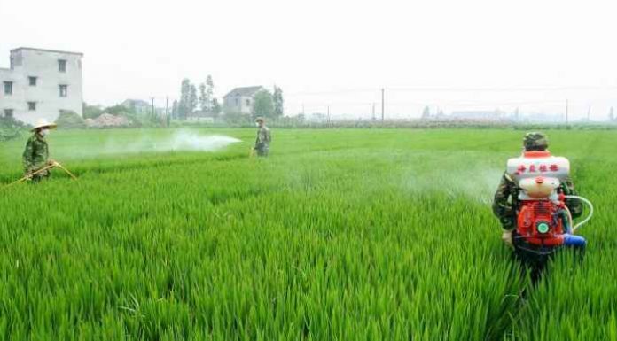 Mare atentie! Evita complet aceste alimente cancerigene care provin din China!